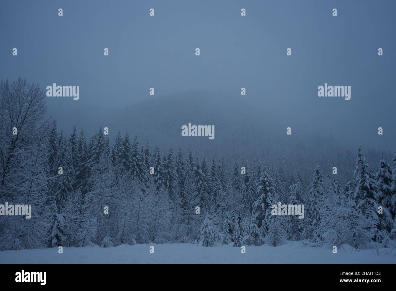 Winter in the Pacific Northwest Stock Photo Alamy