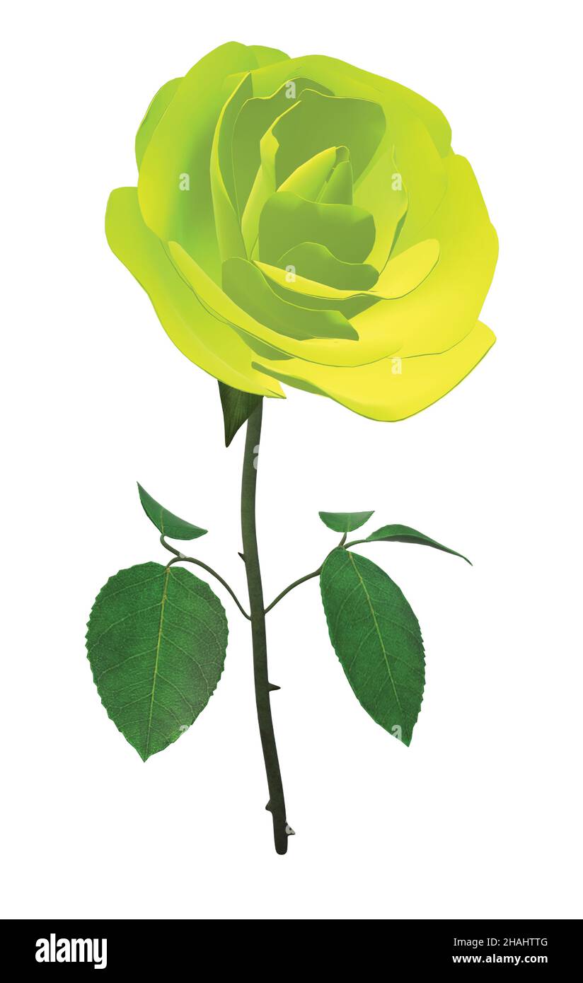 Solid Lime Single Rose Stem Stock Vector Image & Art Alamy