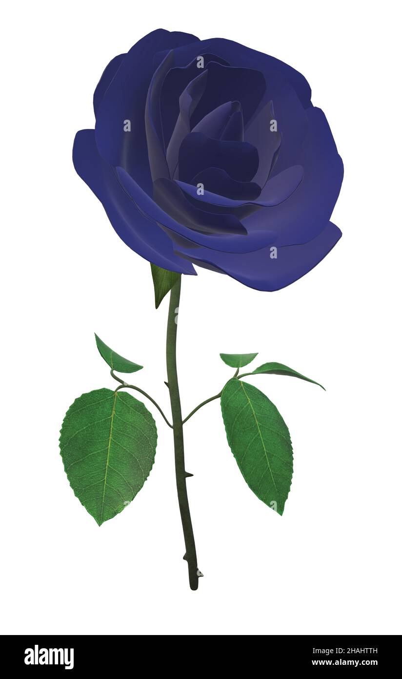 Solid Dark Blue Single Rose Stem Stock Vector