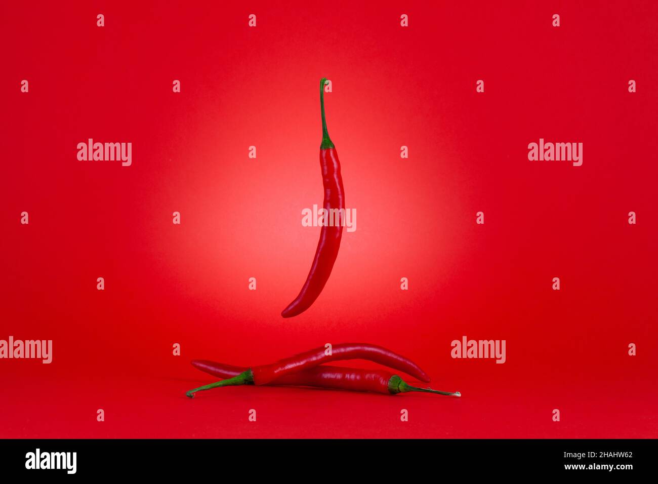 Three of Chili peppers isolated on red background.Ripe red hot chili peppers. Stock Photo