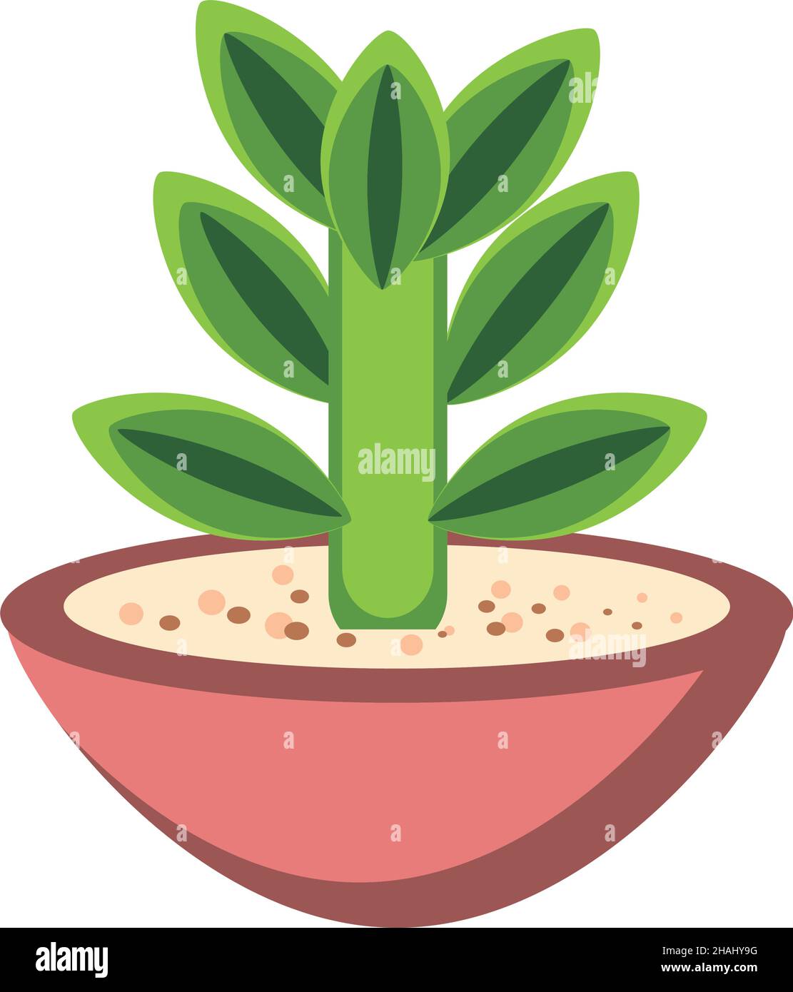 plant in clay pot Stock Vector Image & Art - Alamy