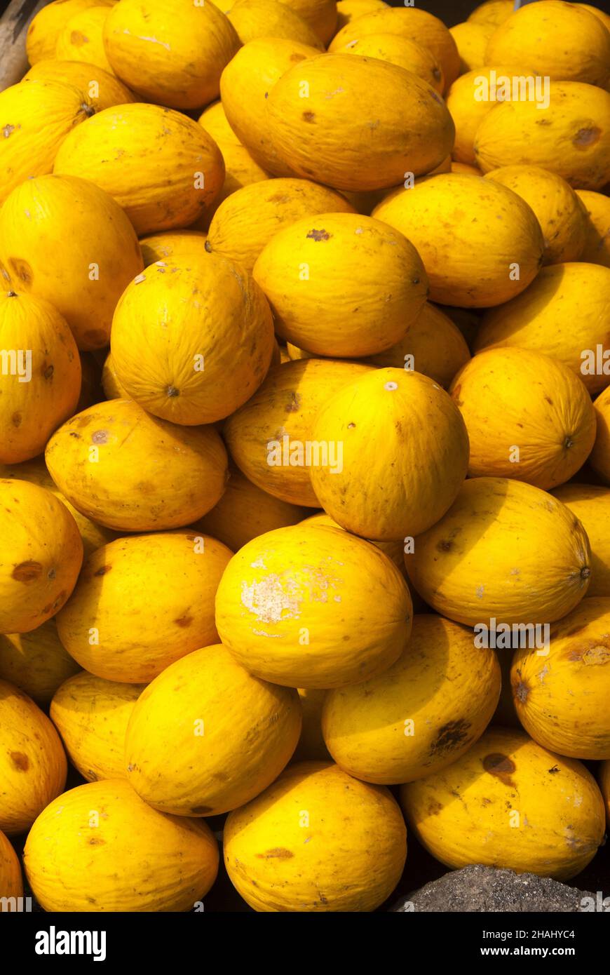 Pile of yellow cantaloupes in local fruit market of Guatemala Stock