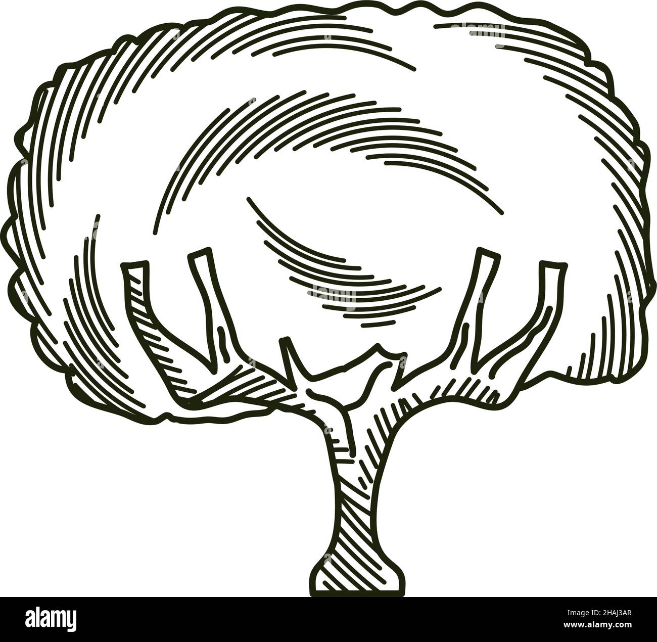 tree engraving style Stock Vector Image & Art Alamy