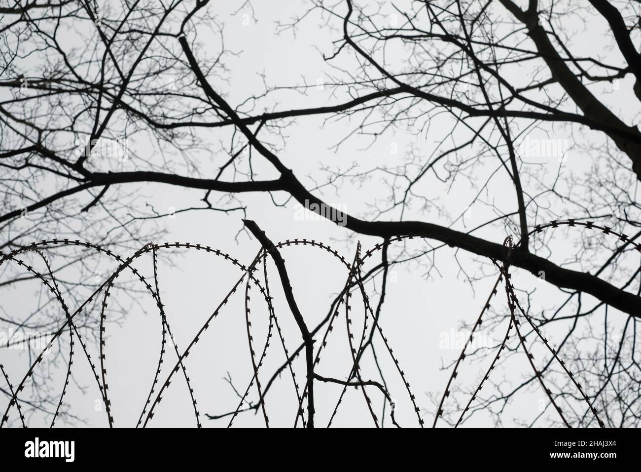 Roll wire mesh fence hi-res stock photography and images - Alamy