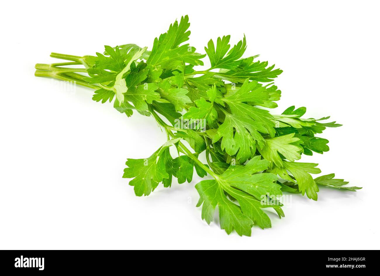 green leaves of parsley isolated on white background Stock Photo - Alamy