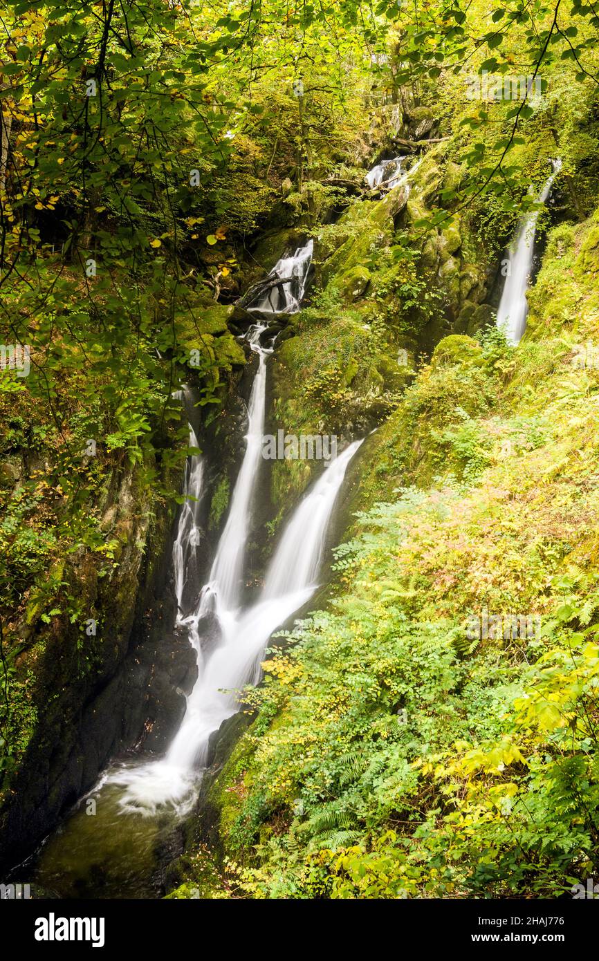 A short walk from Ambleside town centre leads to Stockghyll force. Stock Photo