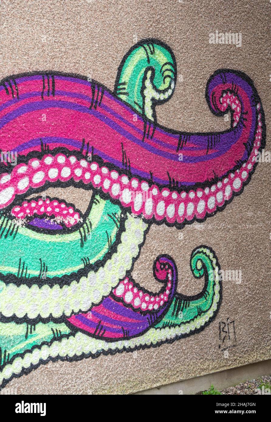 Octopus tentacles, graffiti, wall art, appendages, legs, arms, suckers, sucker-covered tentacles, soft body, squeeze, small gaps, jet water, ink squid Stock Photo