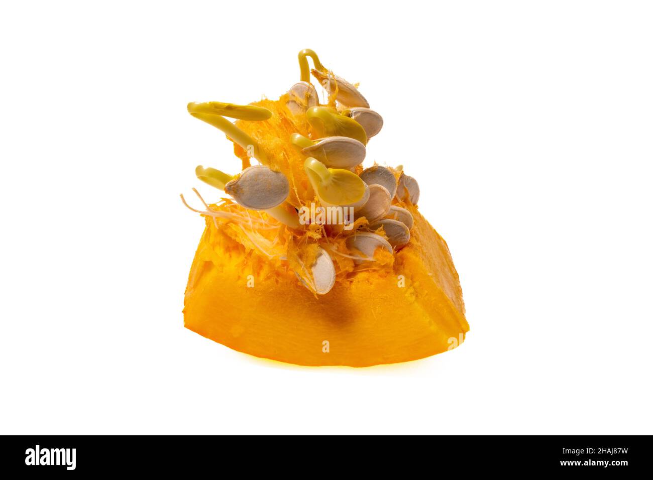 Sliced orange pumpkin with sprout seeds inside on a white background