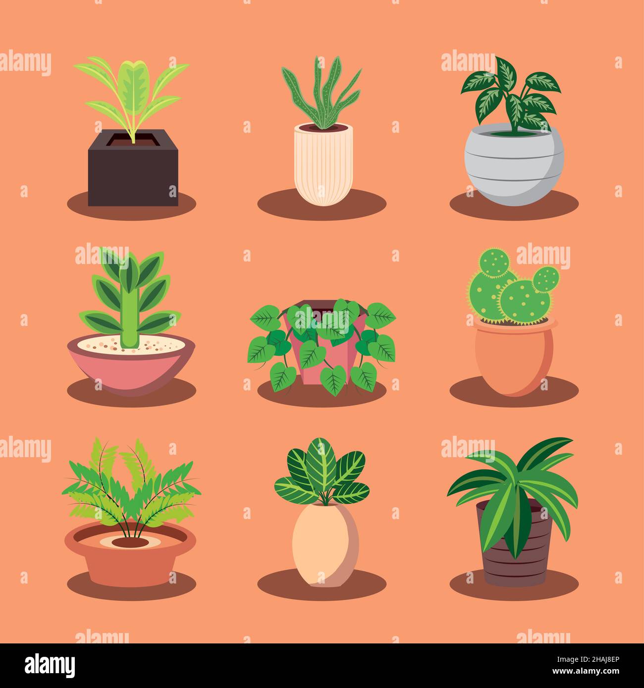 set of houseplants Stock Vector Image & Art - Alamy