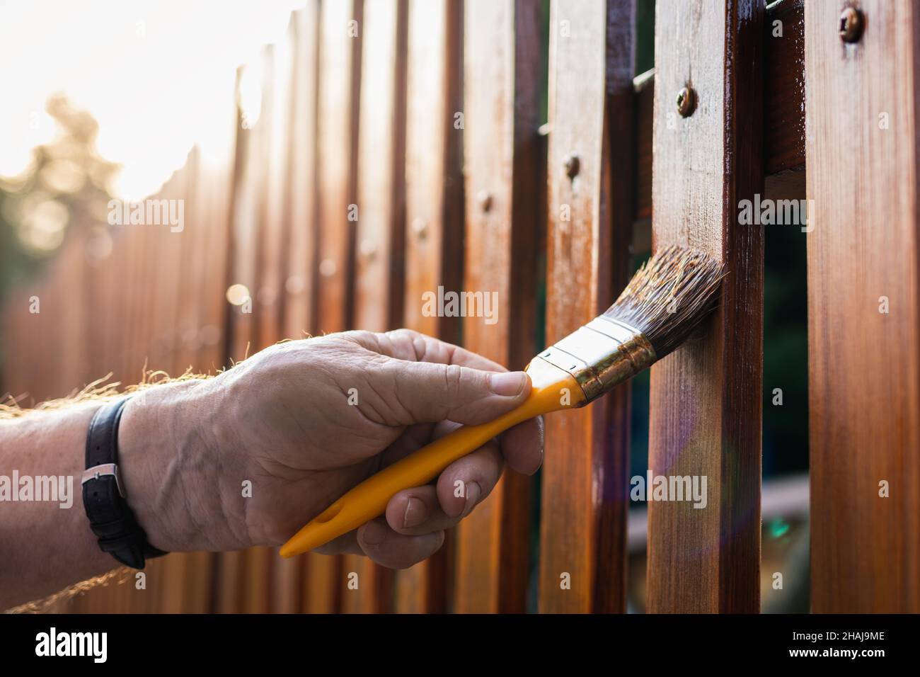 Paint wood stain. Painting protective varnish on wooden picket fence at backyard Stock Photo