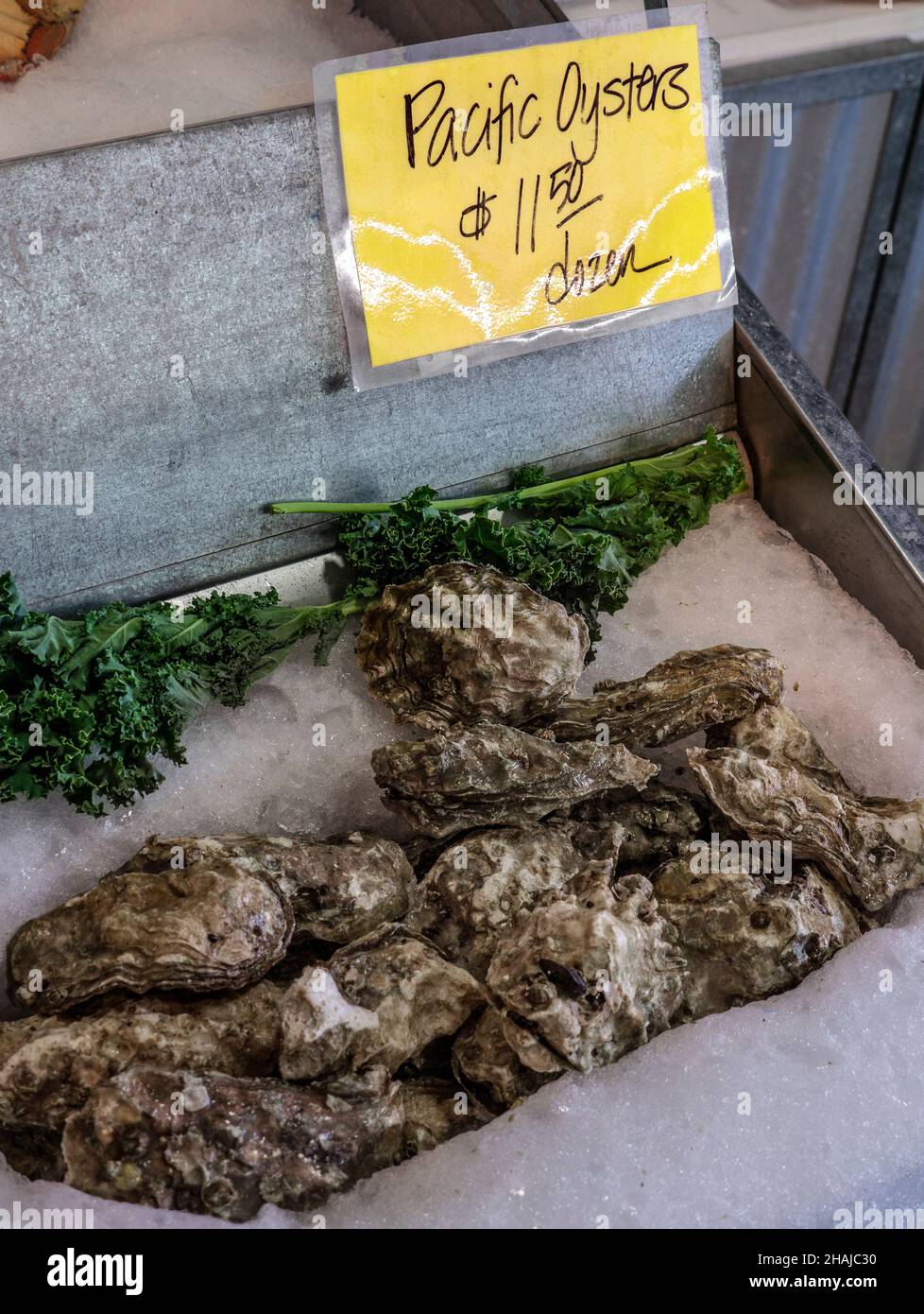 Pacific oysters on display for sale (Japanese oyster, or Miyagi oyster) Magallana gigas, is an oyster native to the Pacific coast of Asia. It has become an introduced species in California USA North America, Phil's Fish Market & Eatery at Moss Landing Monterey  Bay California USA Stock Photo