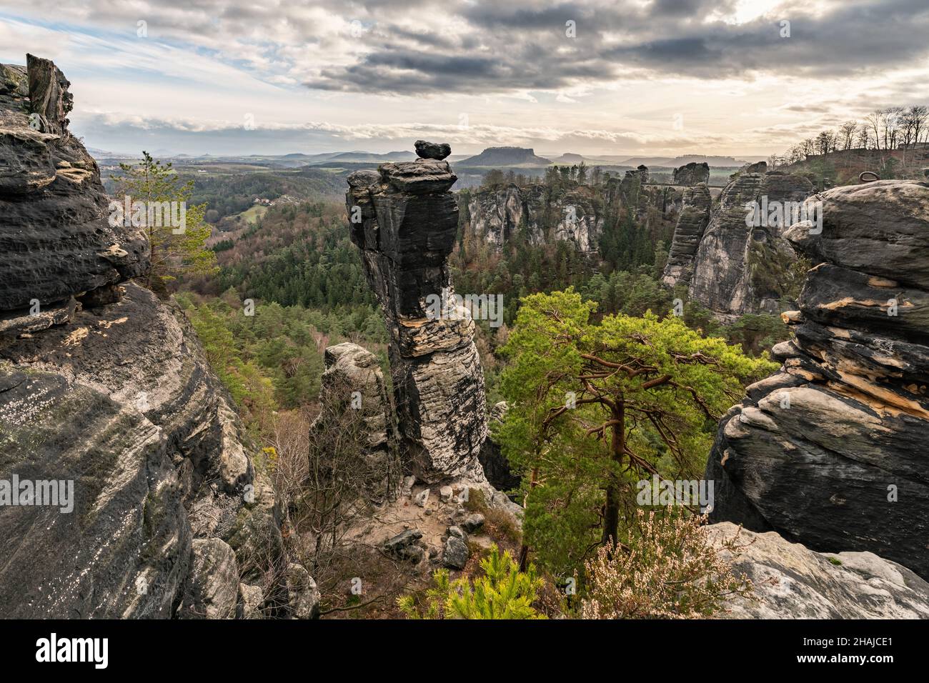Elbe Sandstone Mountains - View in the Bastei area towards southeast, prominent rock formation and tree in foreground, backlight, contrasting sky with Stock Photo