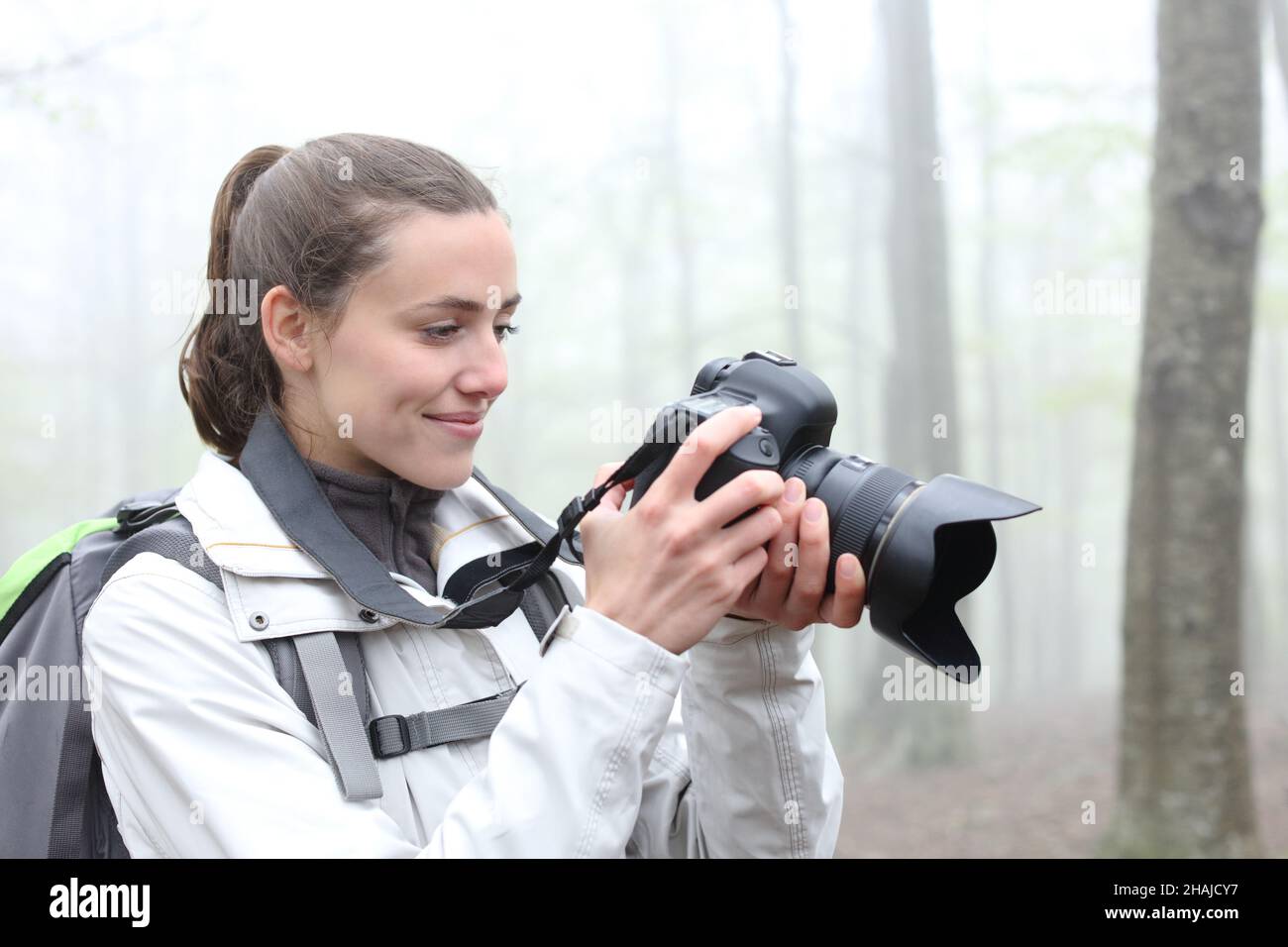 Hiker checking photos on dslr camera waking in a foggy forest Stock Photo