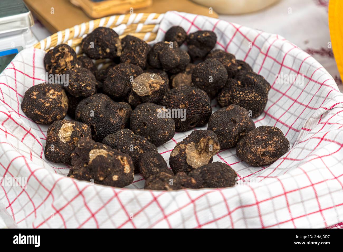 Black truffle, winter truffle, France, Var region, Tuber Melanosporum, price per kilo between 600 and 1,000 euro in Aups, France Stock Photo