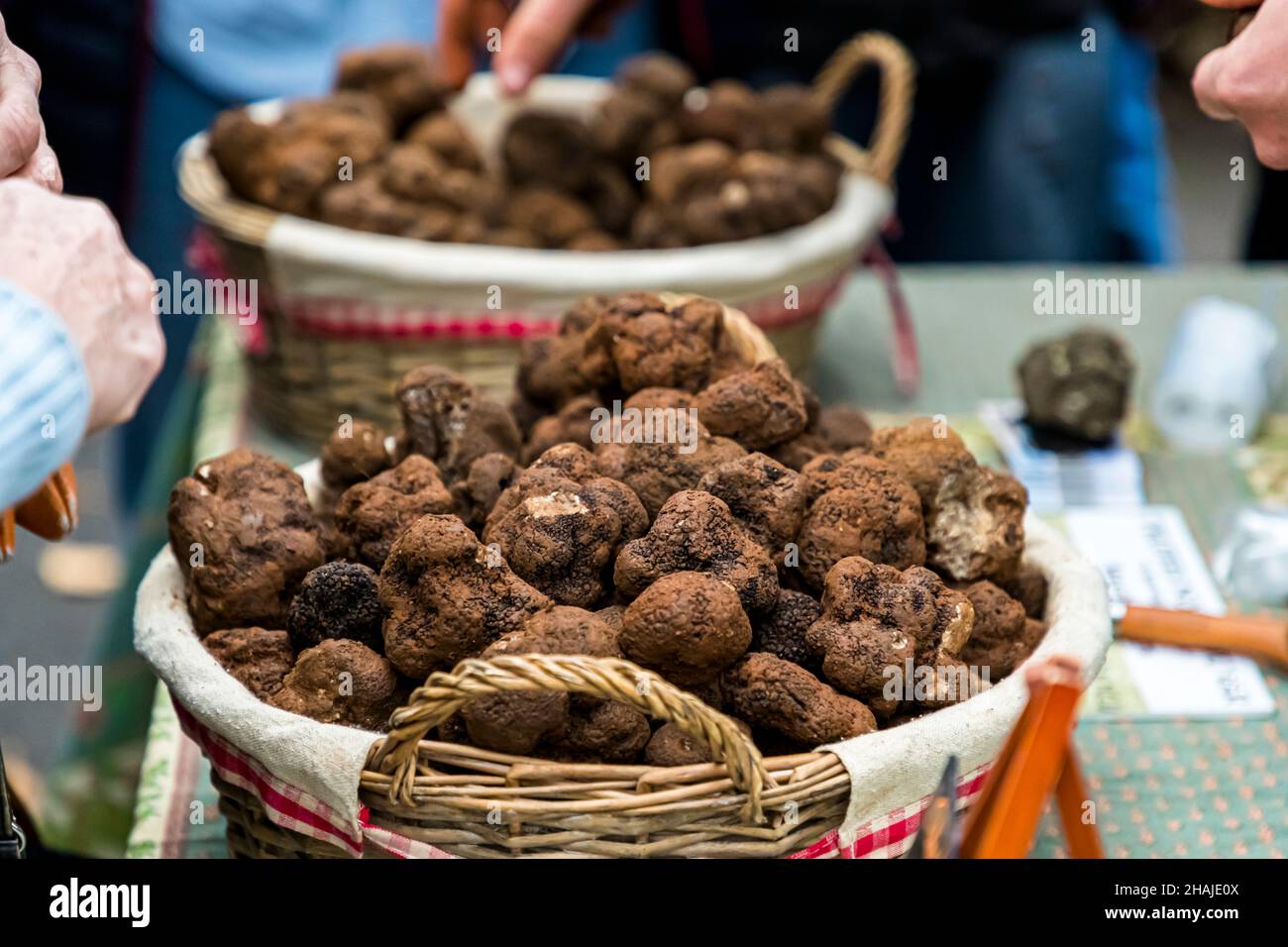 The truffle market in Aups (France) takes place every Thursday from the beginning of December until March. The truffle market of Aups is the third largest of its kind in all of France. Here the truffle dealers sell directly to end customers. Elsewhere in the truffle trade are usually interposed wholesalers Stock Photo