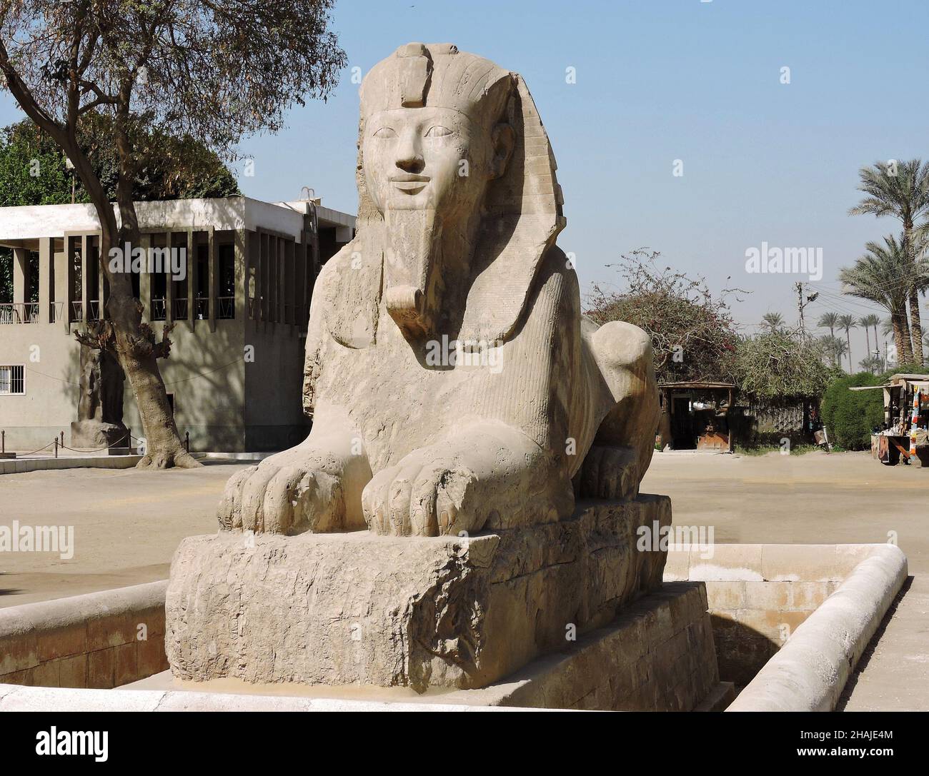The Sphinx of Memphis, Egypt, is made of a white yellowish stone called