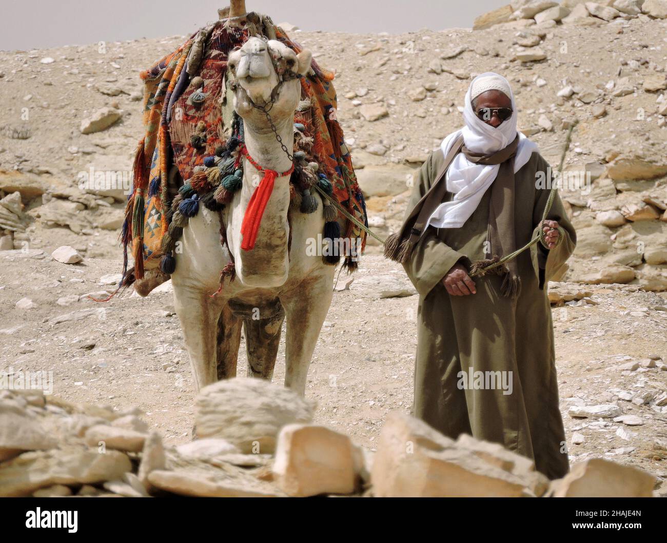Badrshein, Egypt - March 25 2015 - An Egyptian camel driver and his camel. The pack is very colorful. The camel looks headstrong Stock Photo