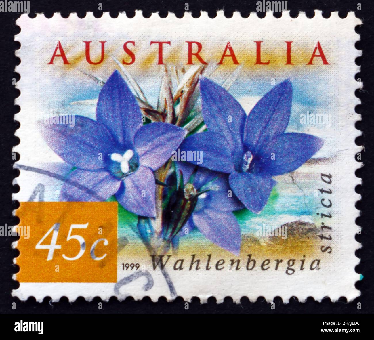 AUSTRALIA - CIRCA 1999: a stamp printed in the Australia shows Australian Bluebell, Wahlenbergia Stricta, Wildflower, circa 1999 Stock Photo