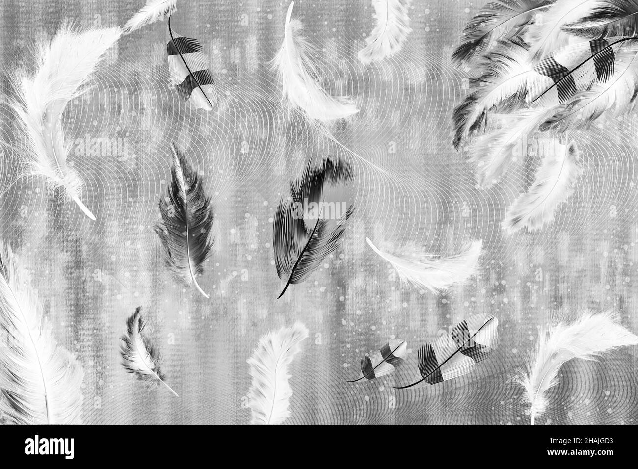 3d illustration wallpaper. white and black feathers in light gray