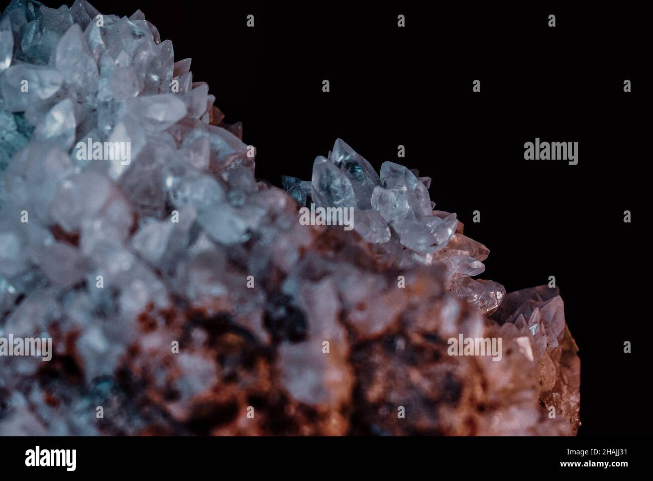 Closeup natural shot hi-res stock photography and images - Alamy