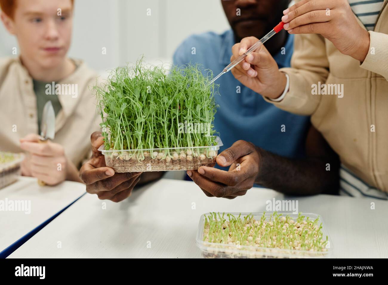 Close up of African-American teacher working on biology experiments with children Stock Photo