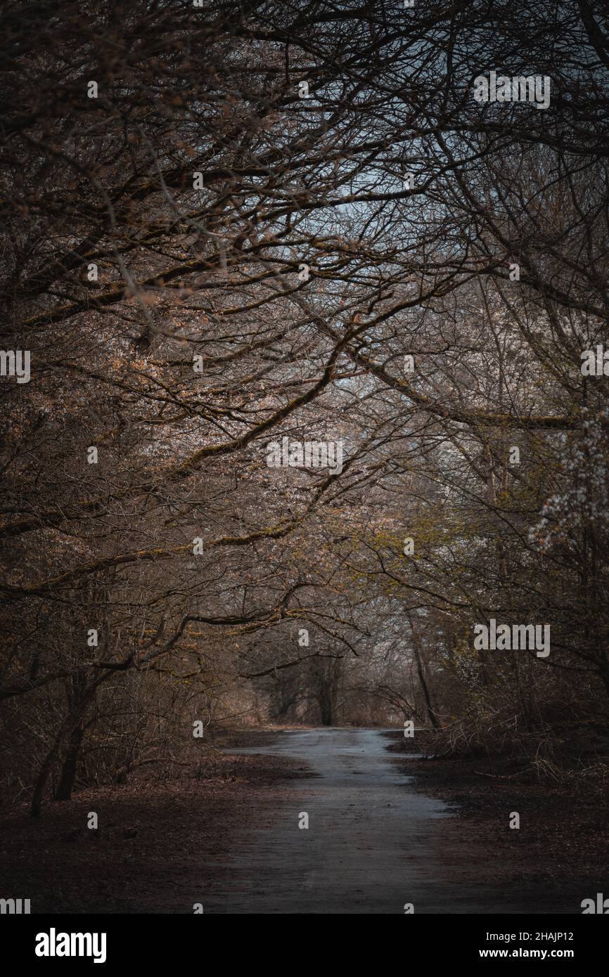 Vertical shot road hi-res stock photography and images - Alamy