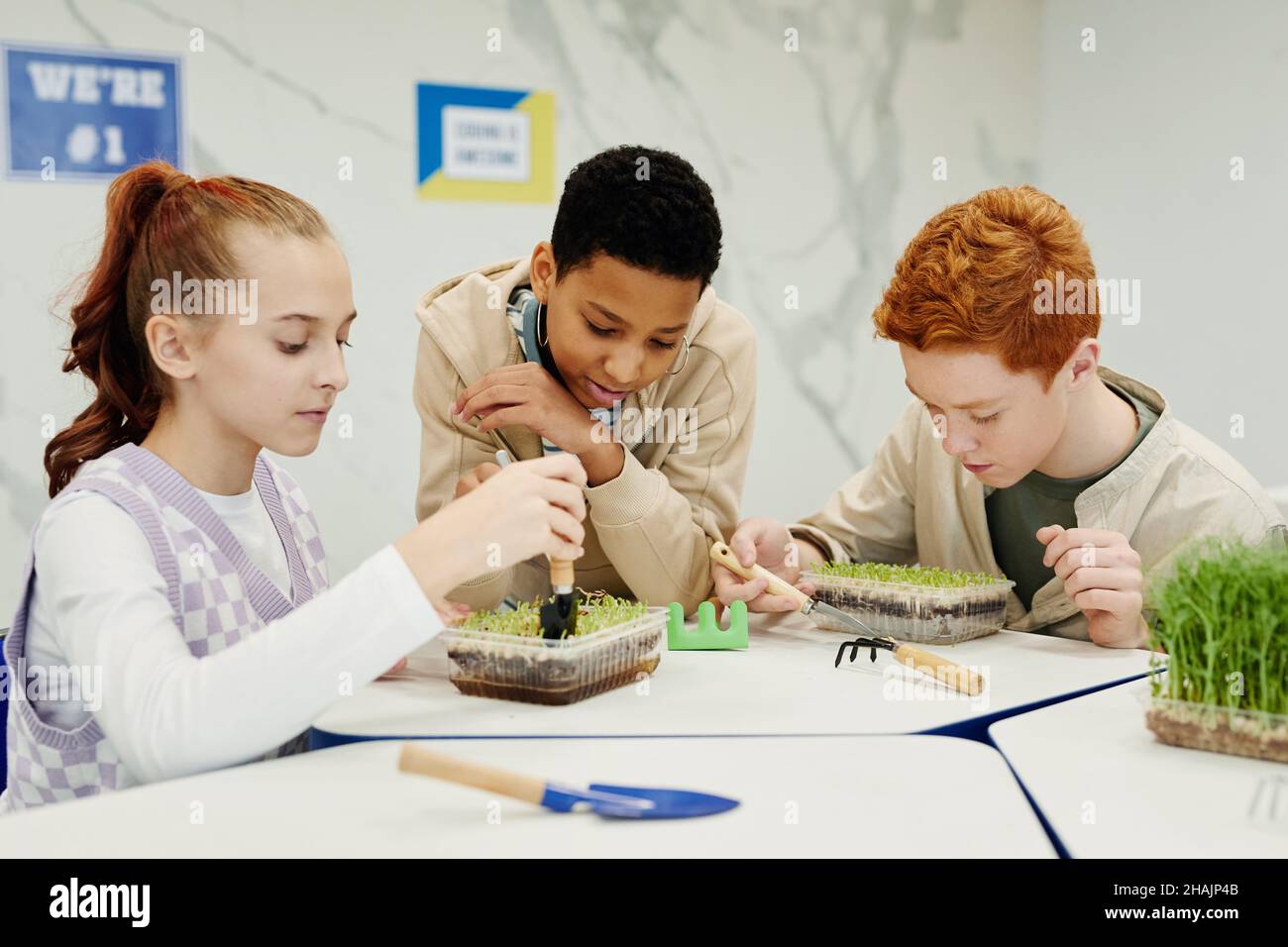 Portrait of diverse group of children experimenting with plants in ...