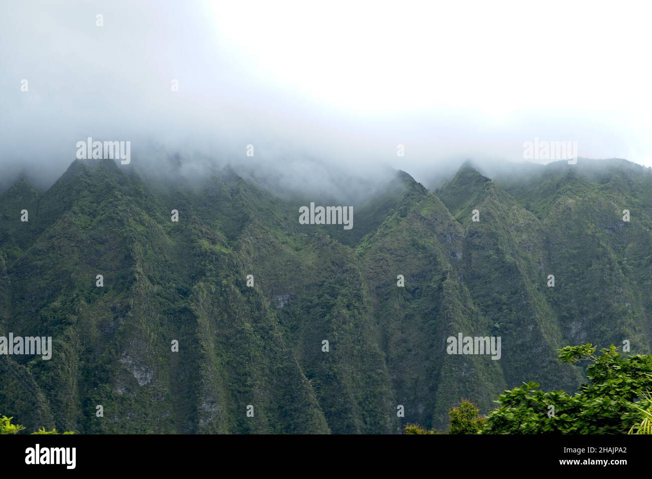 Beautiful view of hills on a foggy day Stock Photo - Alamy
