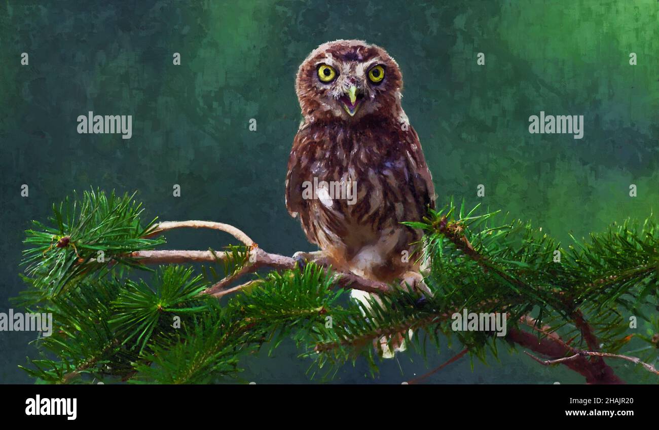 Oil painting illustration of owl sitting on a tree branch with ...