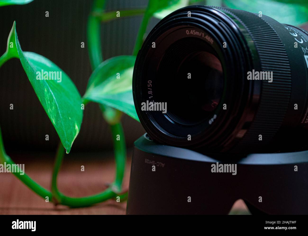 Objective lens hires stock photography and images Alamy