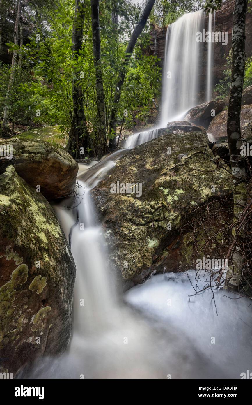 a large waterfall in a forest on nsw central coast Stock Photo
