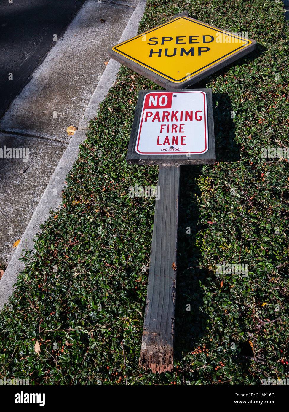 Fallen Sign Vertical shot of a fallen sign of