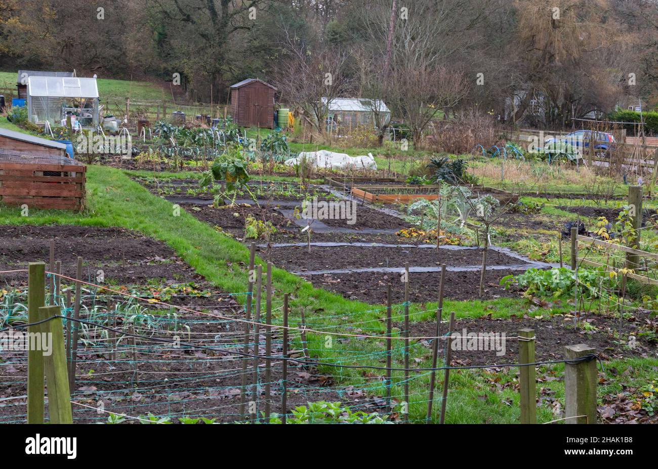 Allotments in Esholt, West Yorkshire. Stock Photo