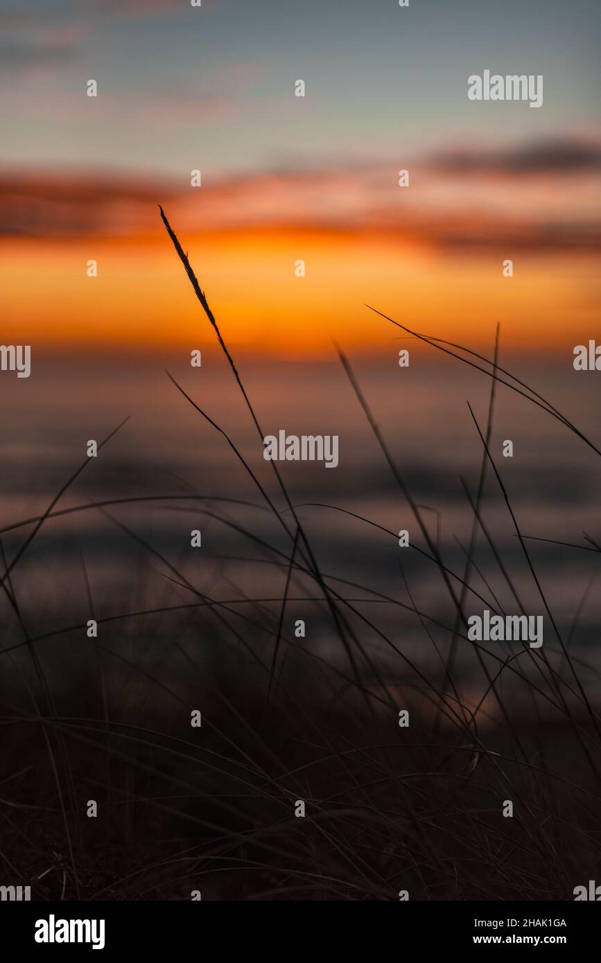 Peaceful vertical shot hi-res stock photography and images - Alamy