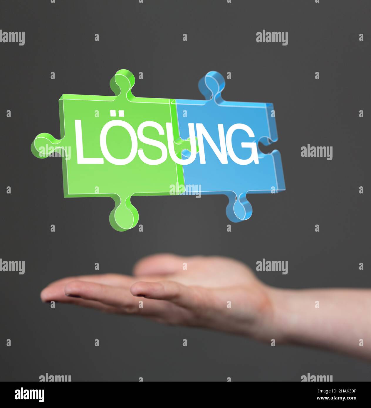 3D rendered puzzle pieces with the word "Losung" hovering on a person's palm Stock Photo