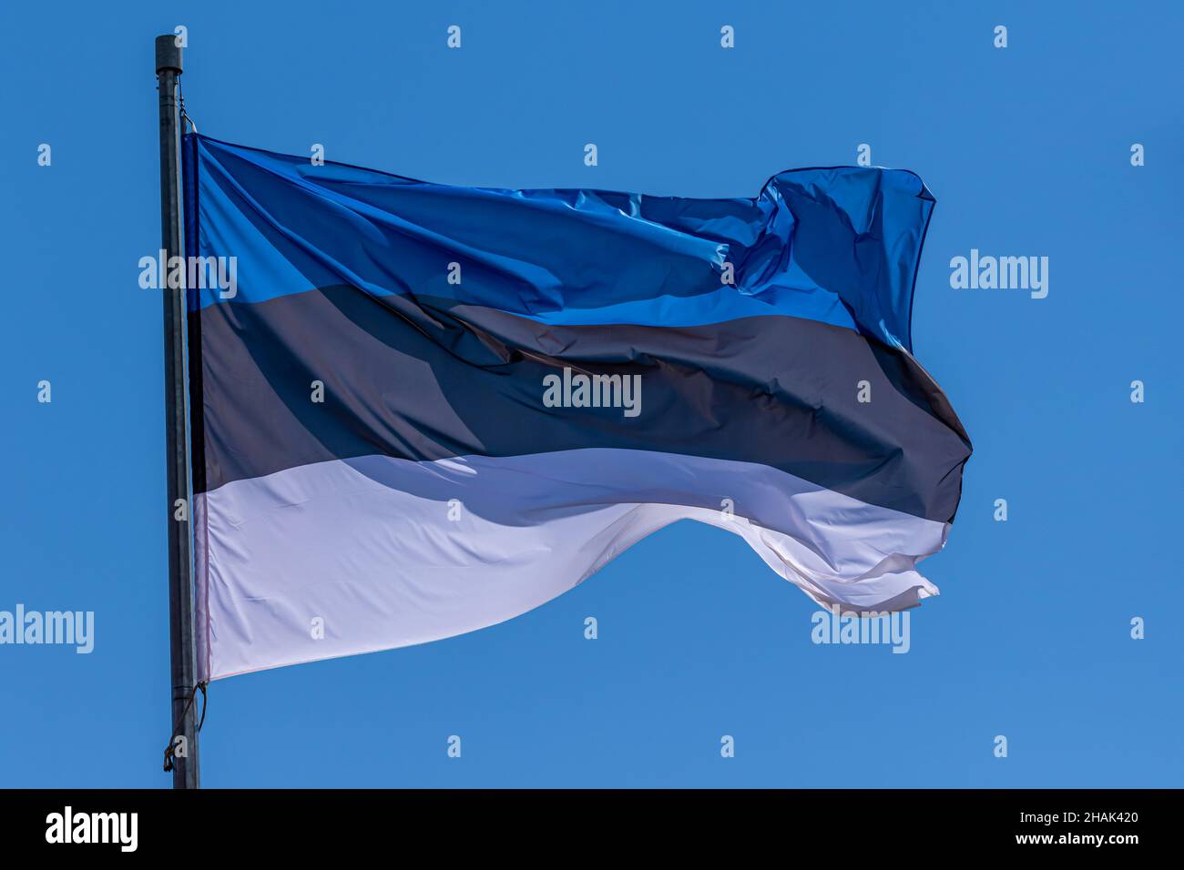 Estonian national flag waving on blue sky background. Republic of ...