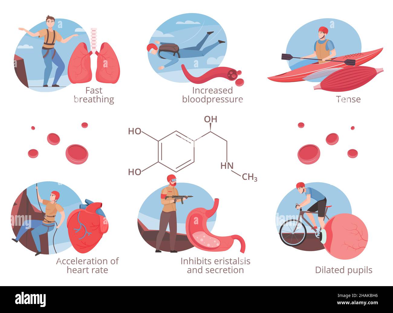 Effect of adrenaline release on human health flat set including fast
