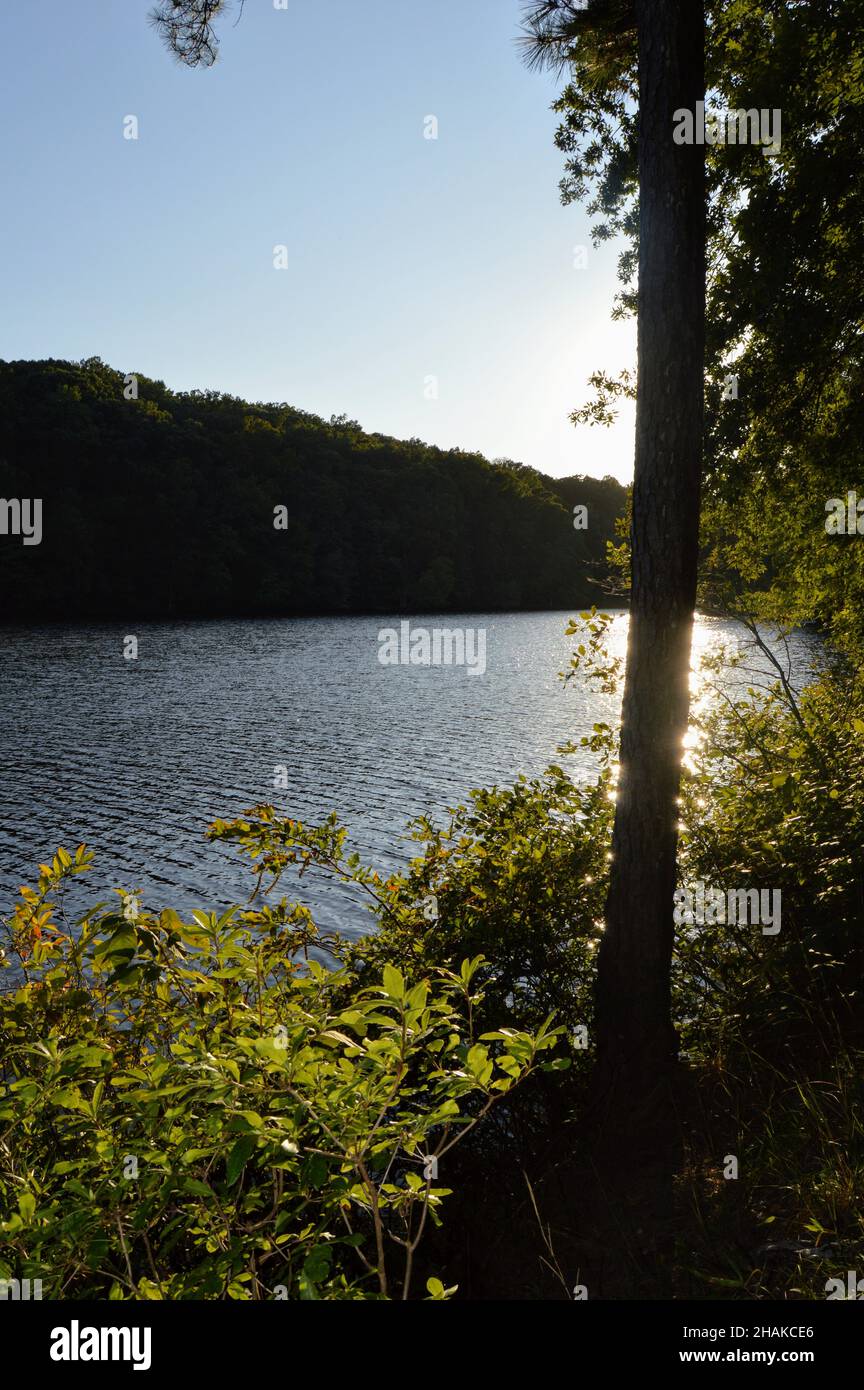 A combination of street and landscape photography from local outings ...