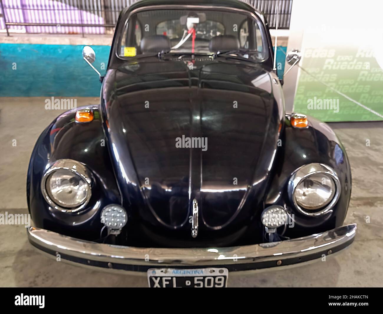 E beetle hi-res stock photography and images - Alamy