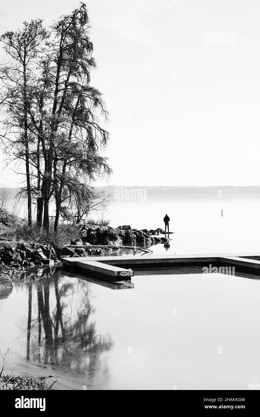Grayscale shot of lakeshore with trees Stock Photo