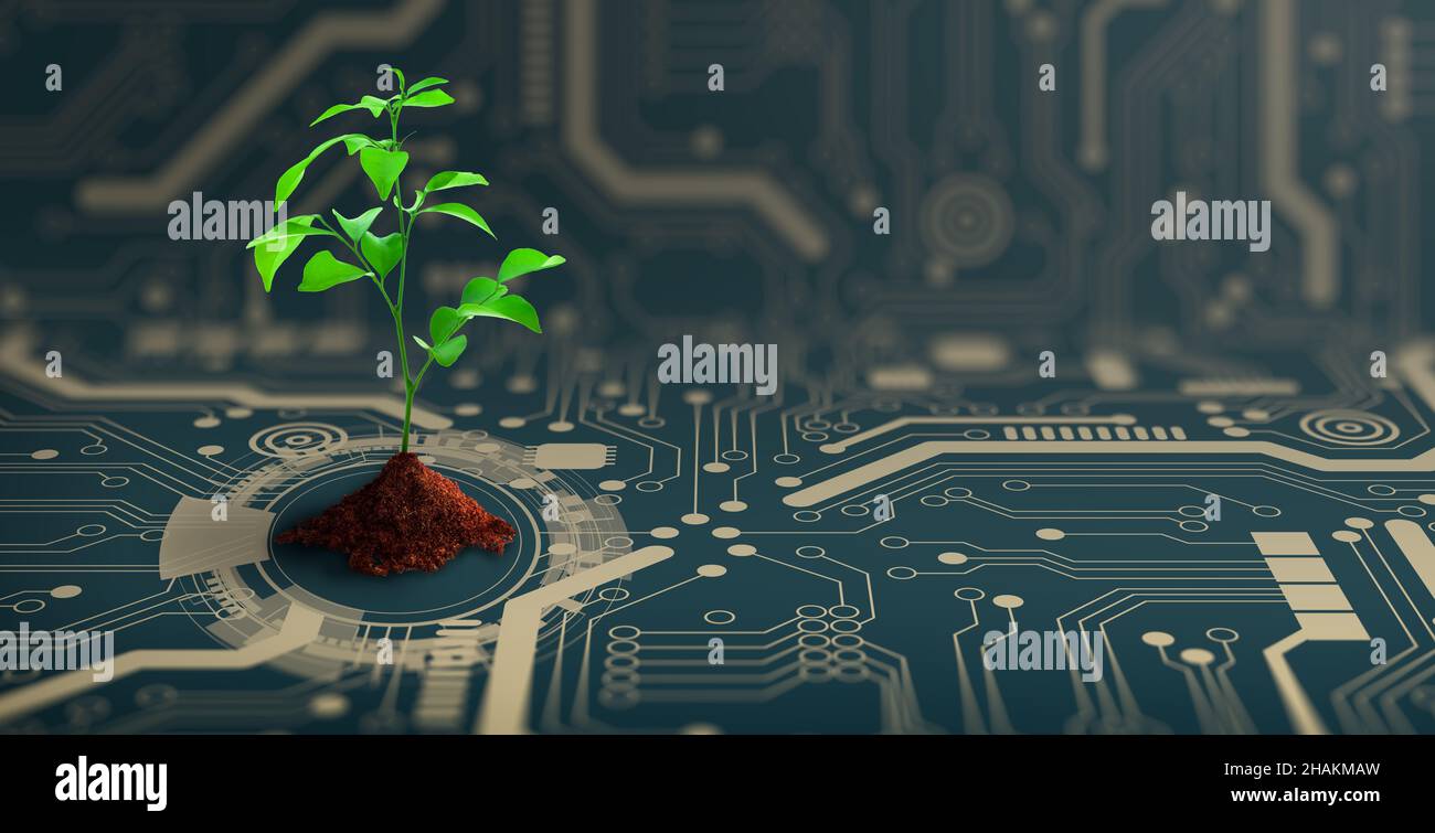 Growing tree with soil on the converging point of computer circuit board. Nature with Digital Convergence and Technological Convergence. Green Computi Stock Photo