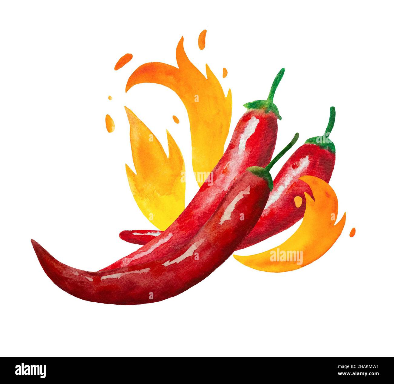 Watercolor painted red hot chili peppers with fire flames isolated on white background. Design