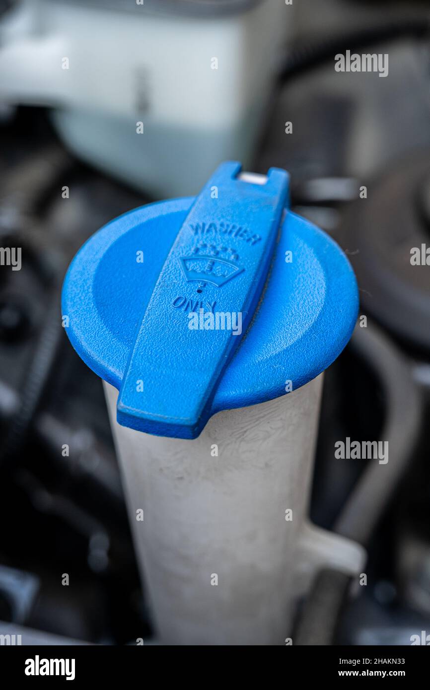 Automobile Maintenance. Windshield washer fluid cap with blue color in