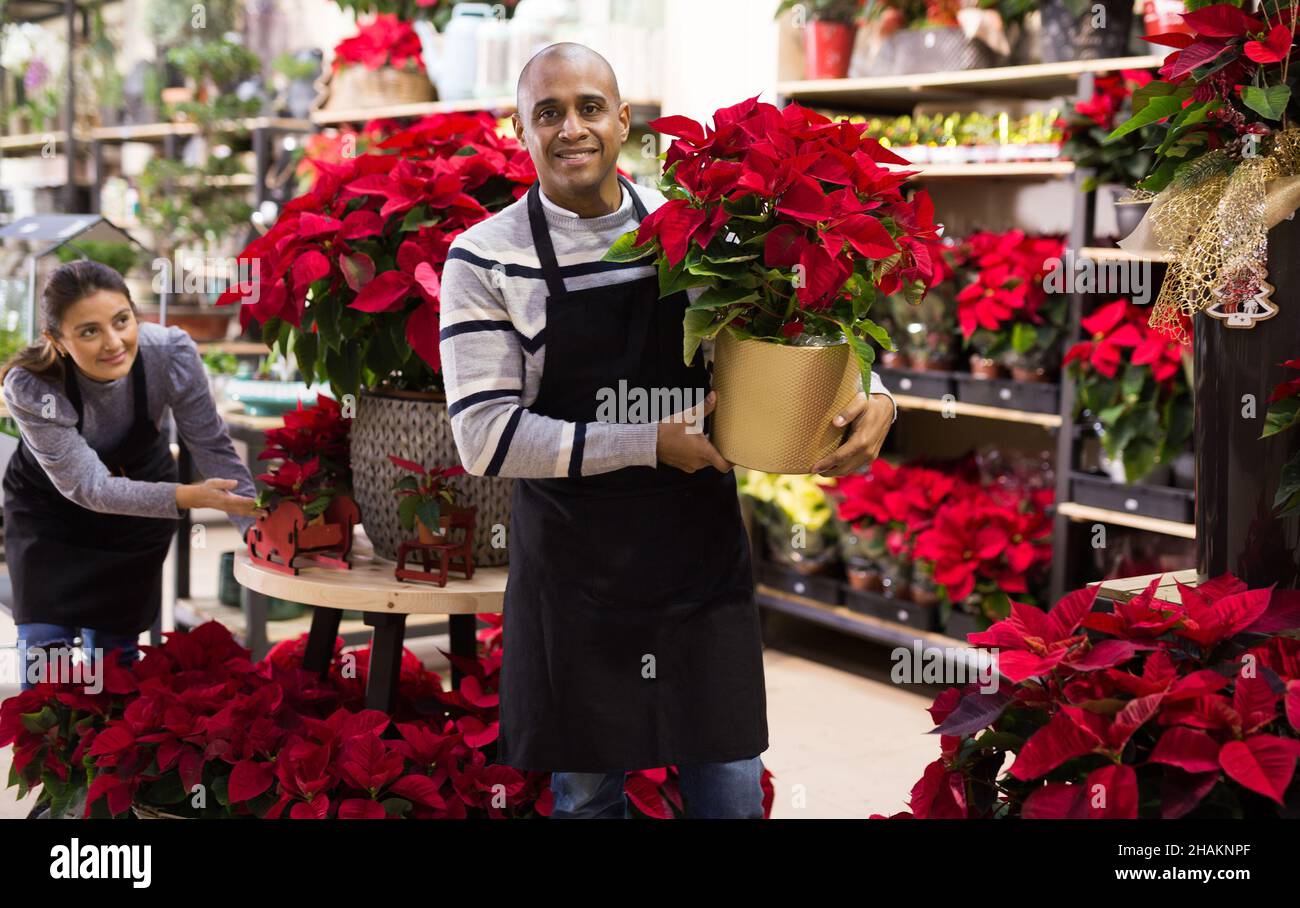 Friendly male flower shop owner offering blooming potted plants