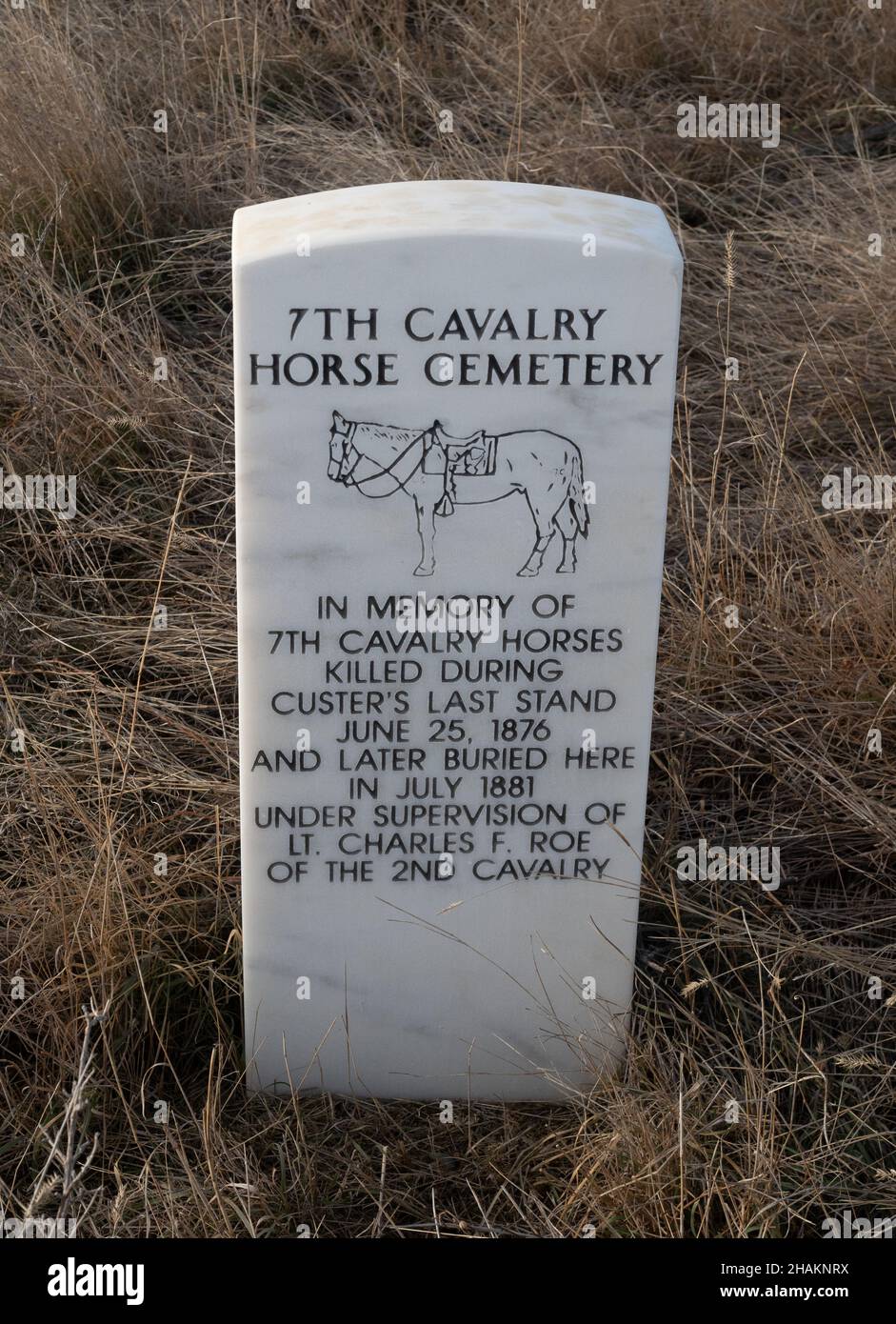 Tombstone for the 7th Cavalry horses who died at the Little Bighorn Battle during the Indian Wars in 1876. Stock Photo