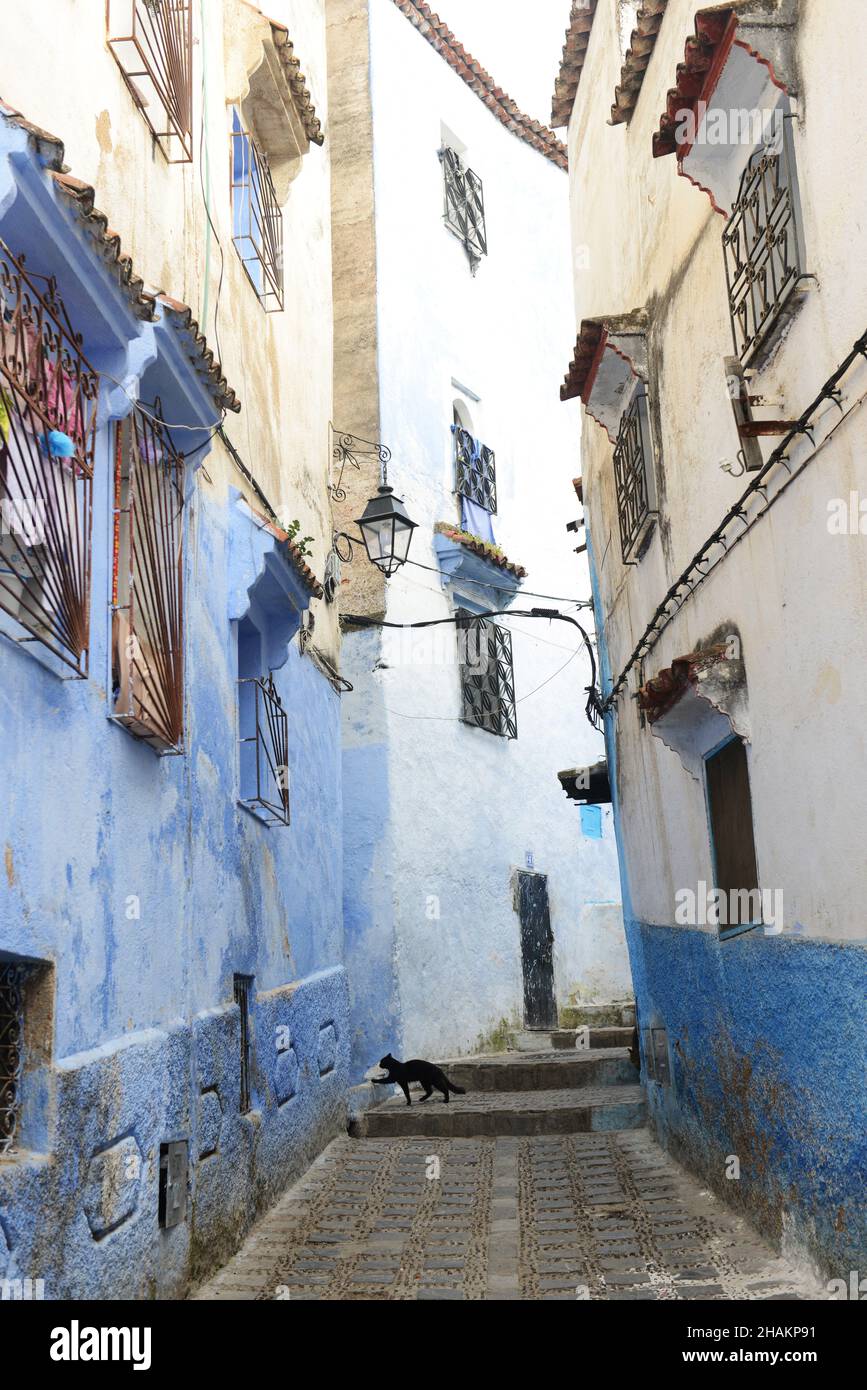 Traditionally blue painted houses in the medina of Chefchaouen in the