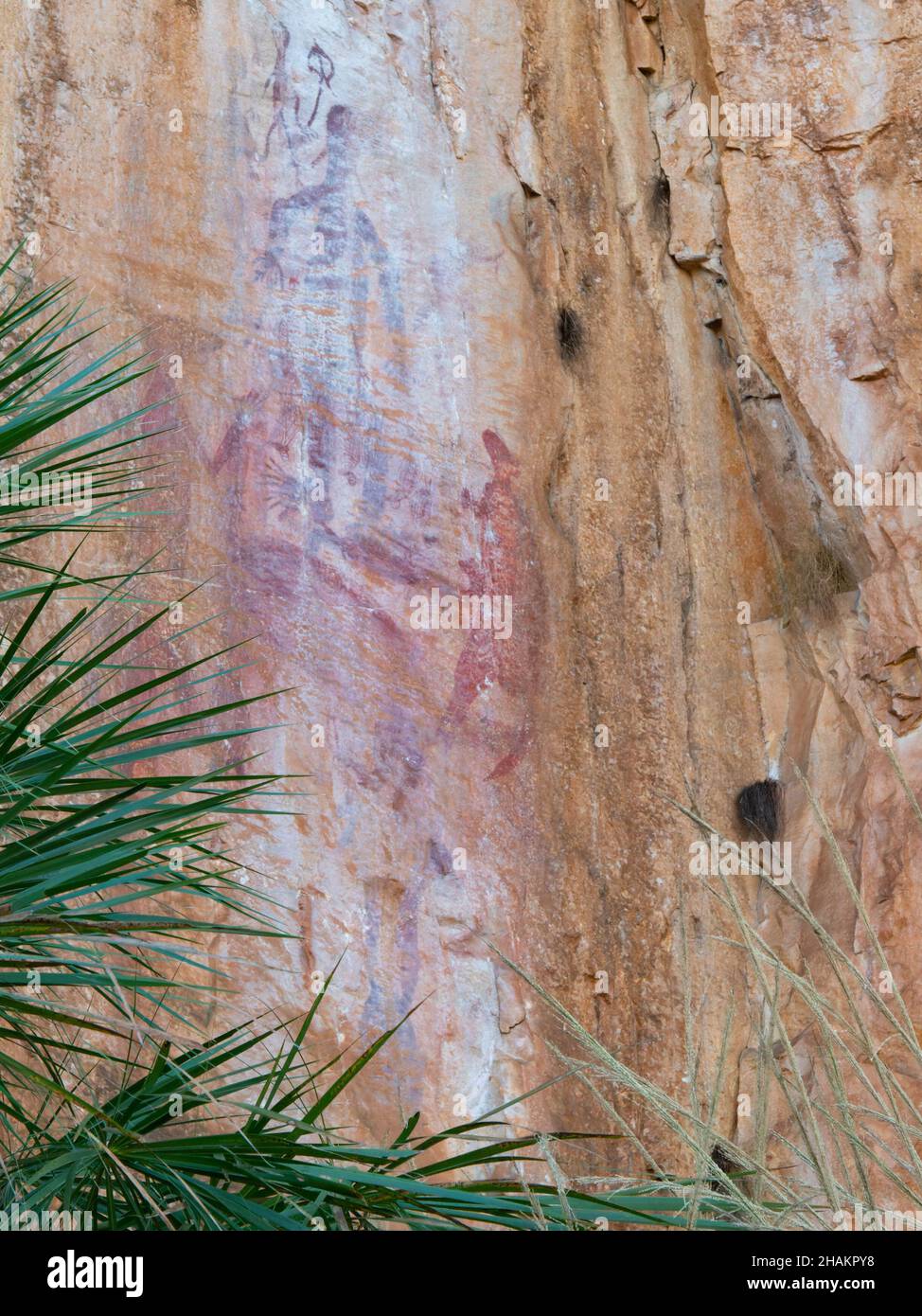 low angle shot of aboriginal rock art at nitmiluk gorge, also known as katherine gorge of nitmiluk national park Stock Photo