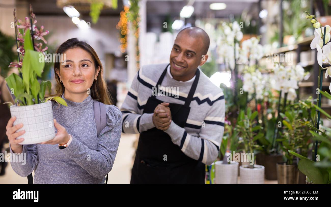 Positive woman chooses orchids in flower shop Stock Photo - Alamy