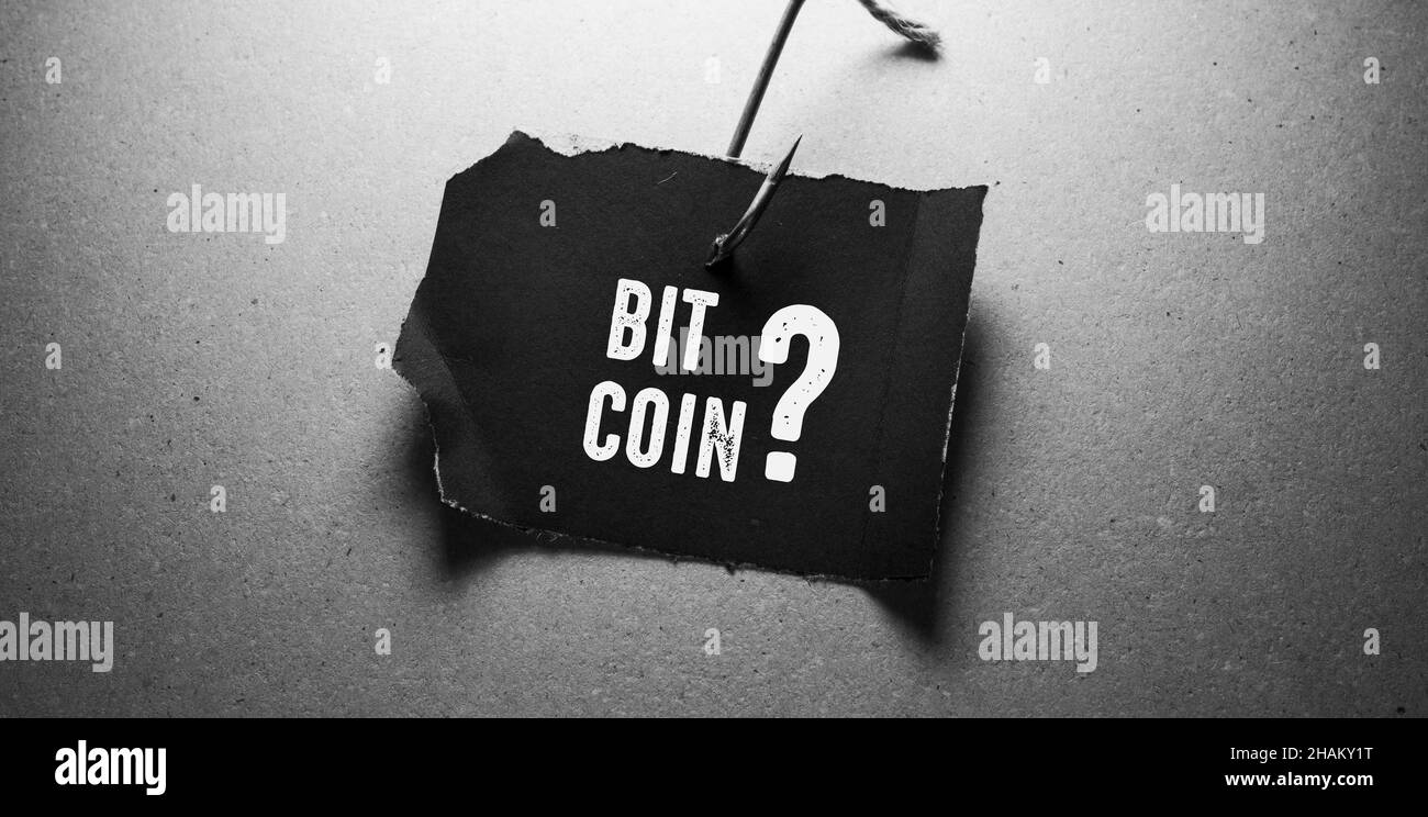 招.金黄金：公司高度器沉股东回馈事项