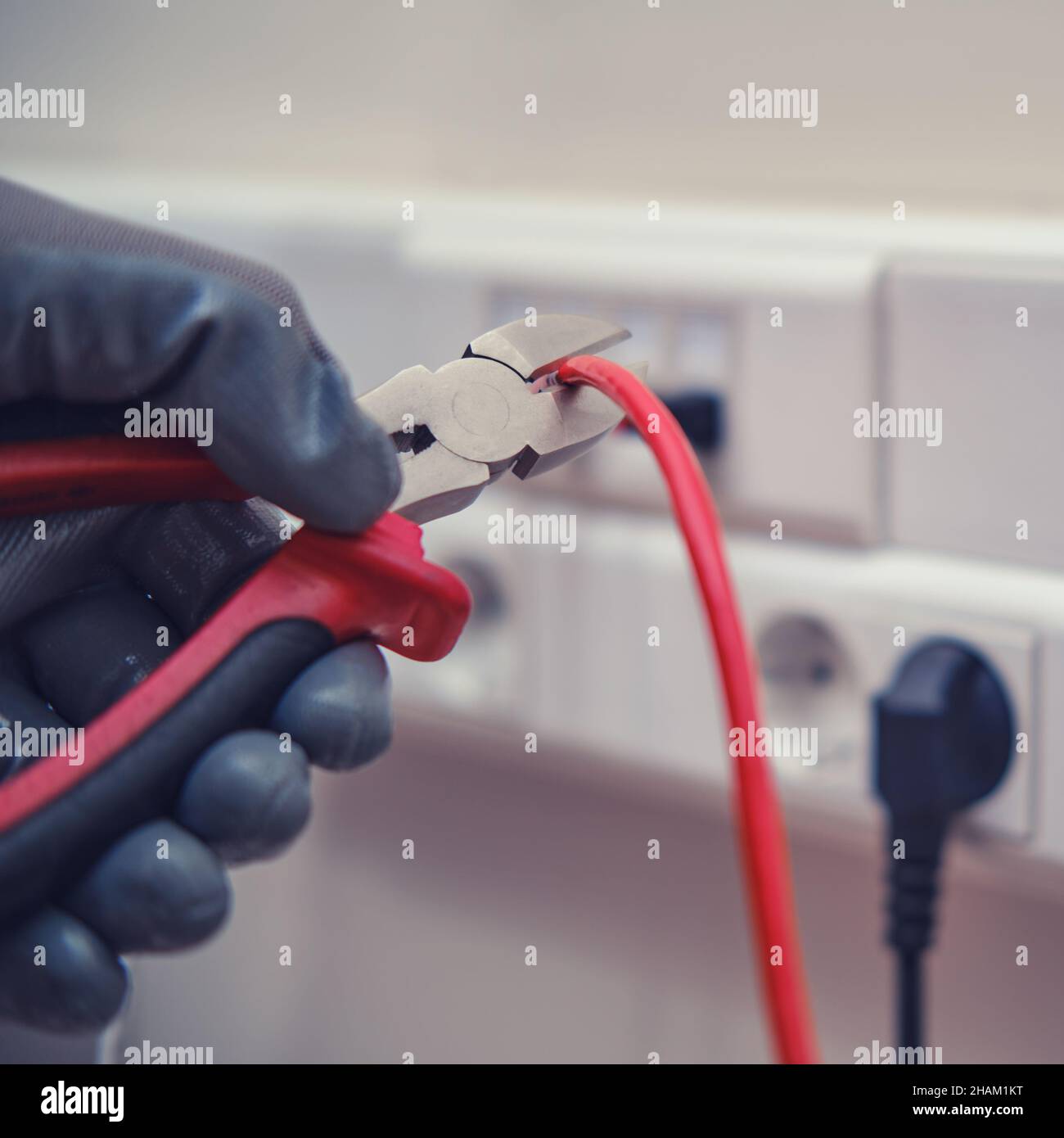 Cutting the computer network wire in the office in pieces Stock Photo